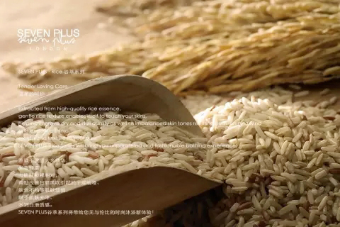酒店一次性客房洗浴用品  酒店用品推薦  江蘇歐佩
